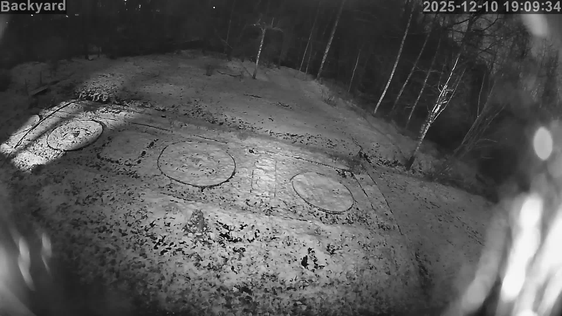 Веб-камера Backyard в M16